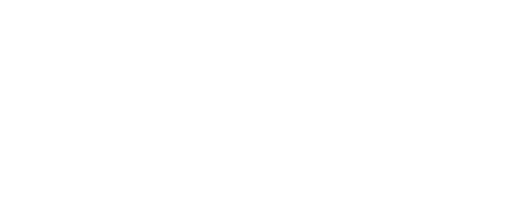 Tiberias Expertise & Consulting